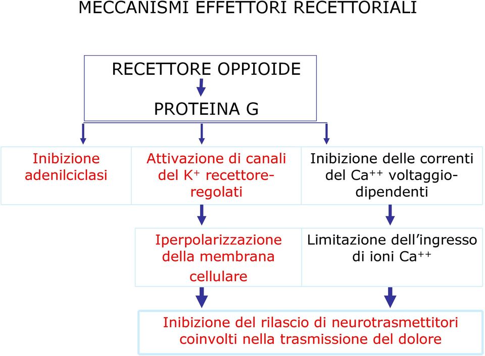 voltaggiodipendenti Iperpolarizzazione della membrana cellulare Limitazione dell ingresso