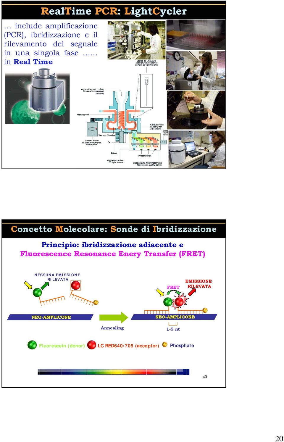 e Fluorescence Resonance Enery Transfer (FRET) NESSUNA EMISSIONE EXCITATION RILEVATA EXCITATION FRET EMISSIONE