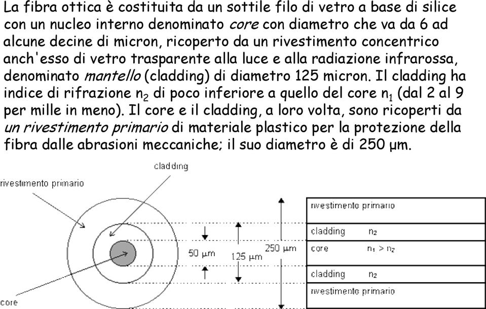 diametro 125 micron. Il cladding ha indice di rifrazione n 2 di poco inferiore a quello del core n 1 (dal 2 al 9 per mille in meno).