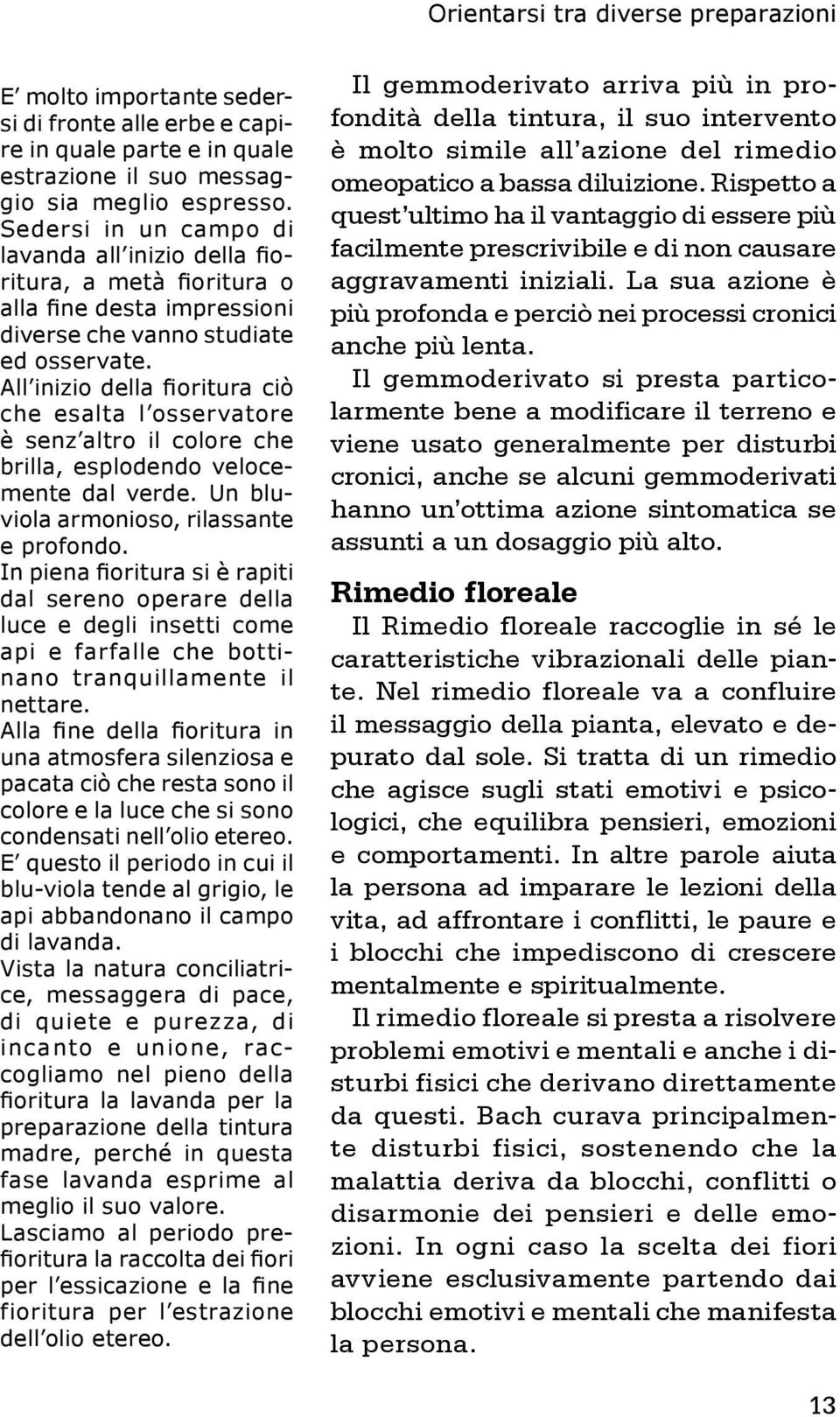 All inizio della fioritura ciò che esalta l osservatore è senz altro il colore che brilla, esplodendo velocemente dal verde. Un bluviola armonioso, rilassante e profondo.