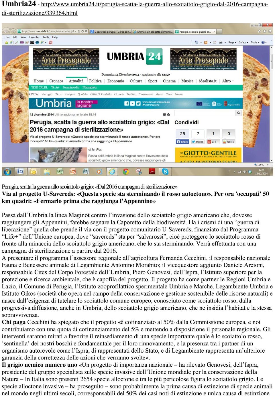 Per ora 'occupati' 50 km quadri: «Fermarlo prima che raggiunga l'appennino» Passa dall Umbria la linea Maginot contro l invasione dello scoiattolo grigio americano che, dovesse raggiungere gli