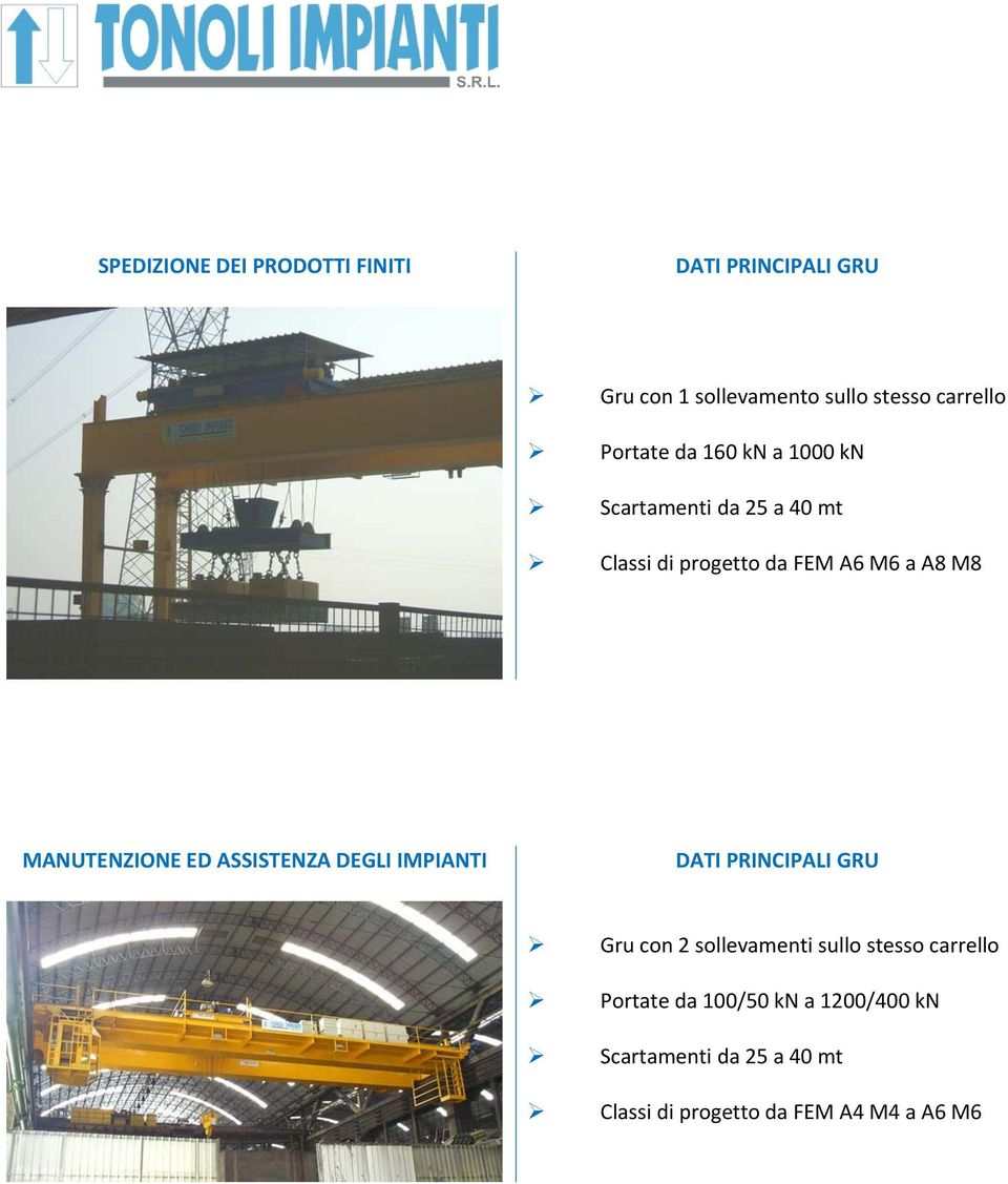 MANUTENZIONE ED ASSISTENZA DEGLI IMPIANTI DATI PRINCIPALI GRU Gru con 2 sollevamenti sullo stesso