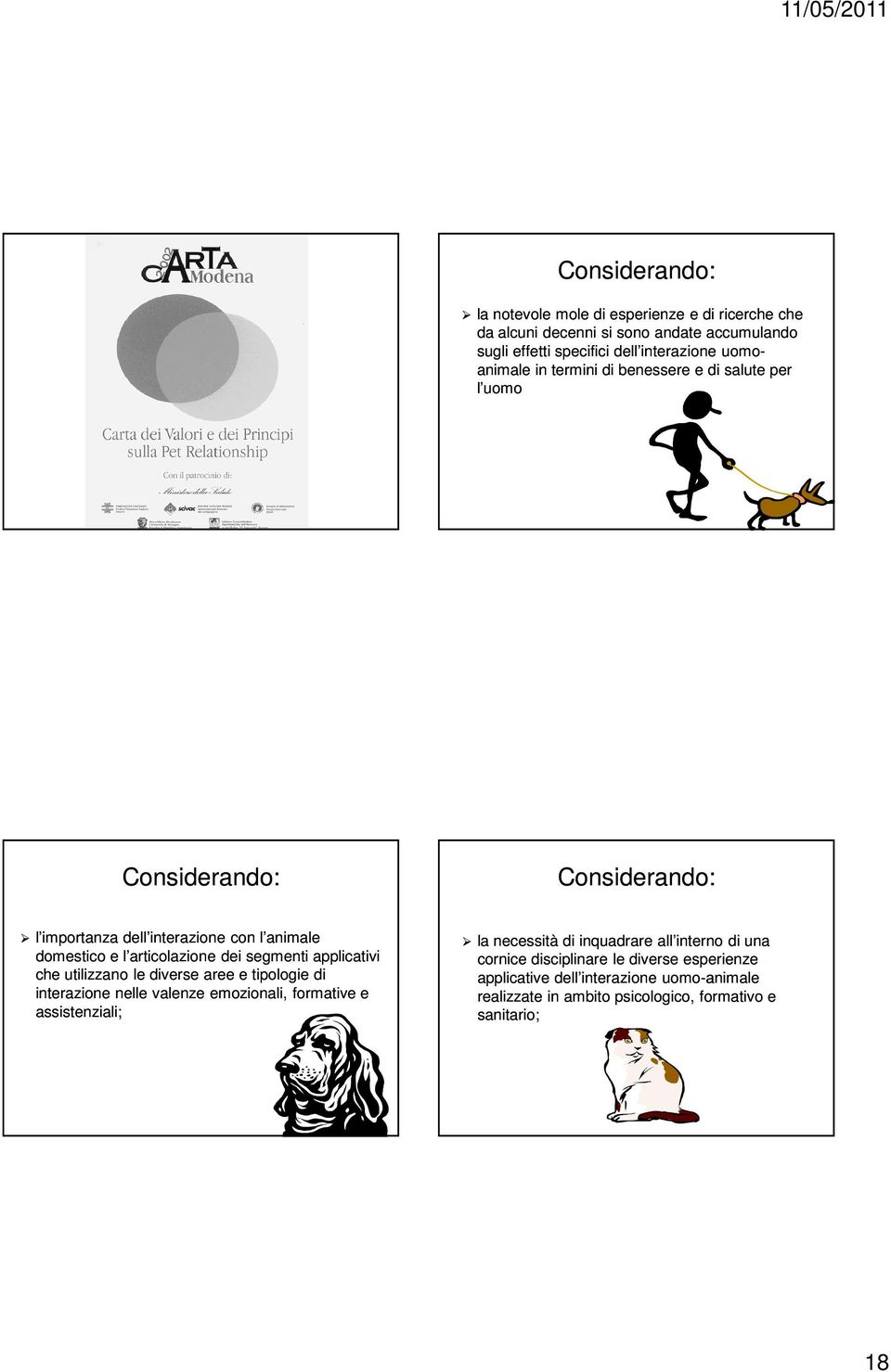 segmenti applicativi che utilizzano le diverse aree e tipologie di interazione nelle valenze emozionali, formative e assistenziali; la necessità di inquadrare