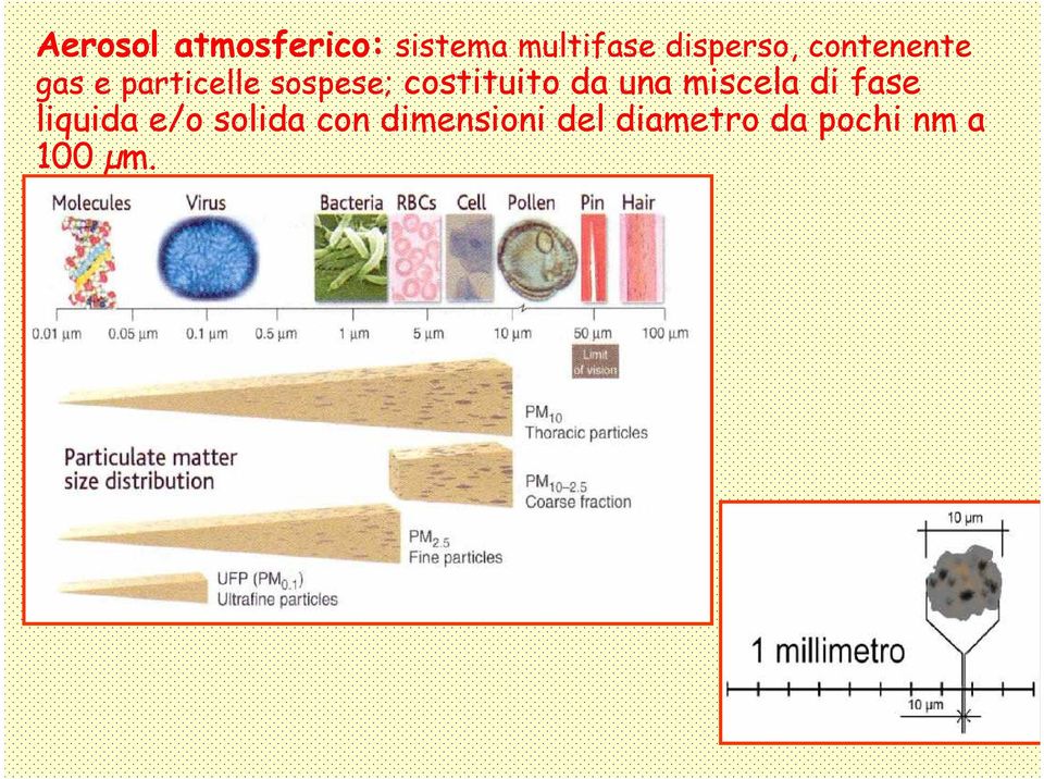 costituito da una miscela di fase liquida e/o