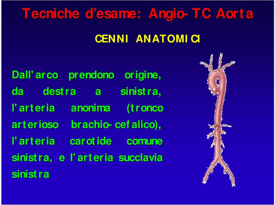 arterioso brachio-cefalico cefalico), l'arteria