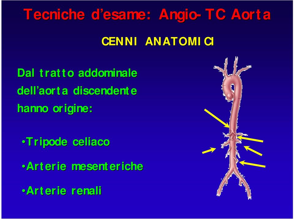 discendente hanno origine: