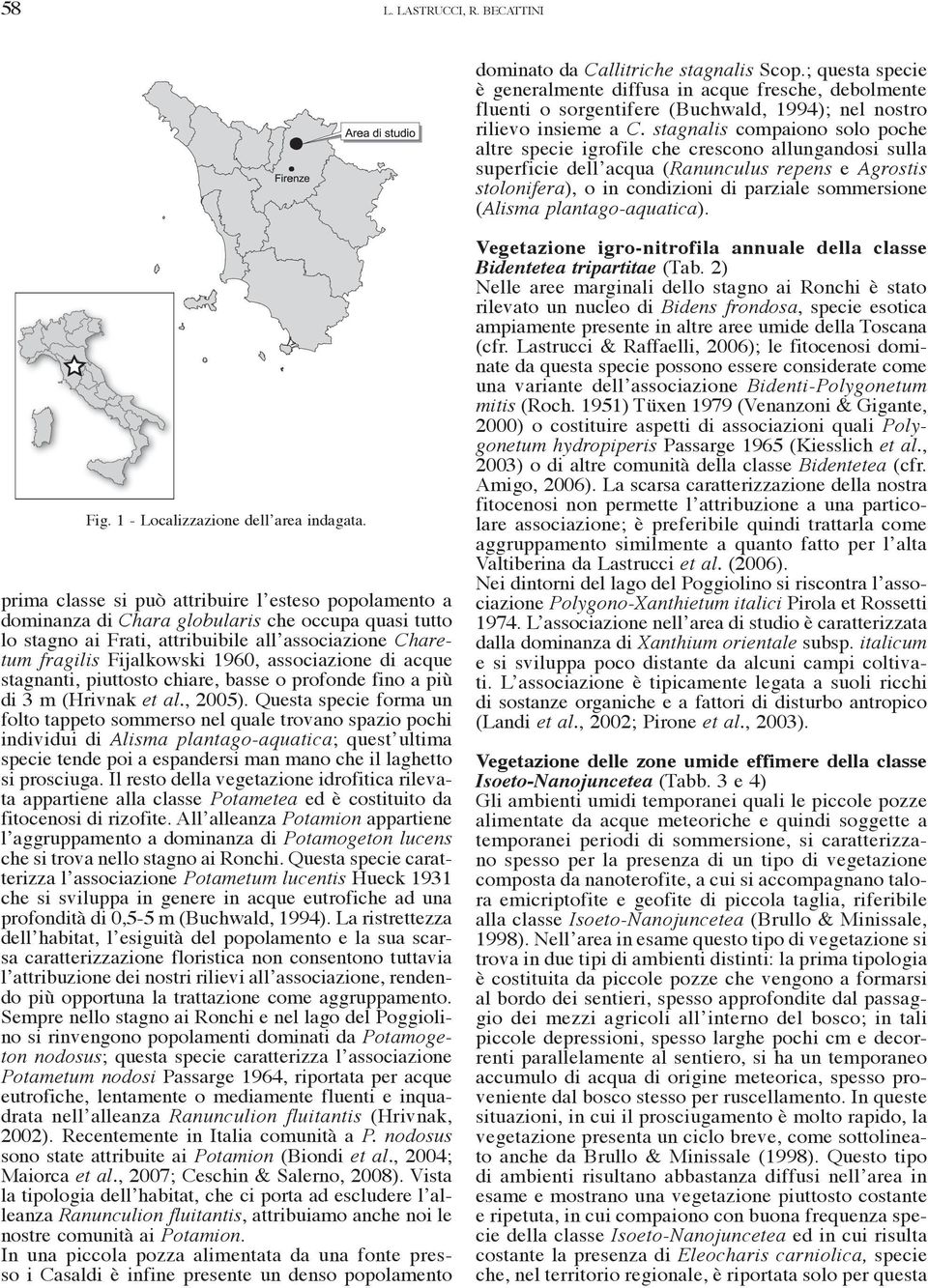 stagnalis compaiono solo poche altre specie igrofile che crescono allungandosi sulla superficie dell acqua (Ranunculus repens e Agrostis stolonifera), o in condizioni di parziale sommersione (Alisma