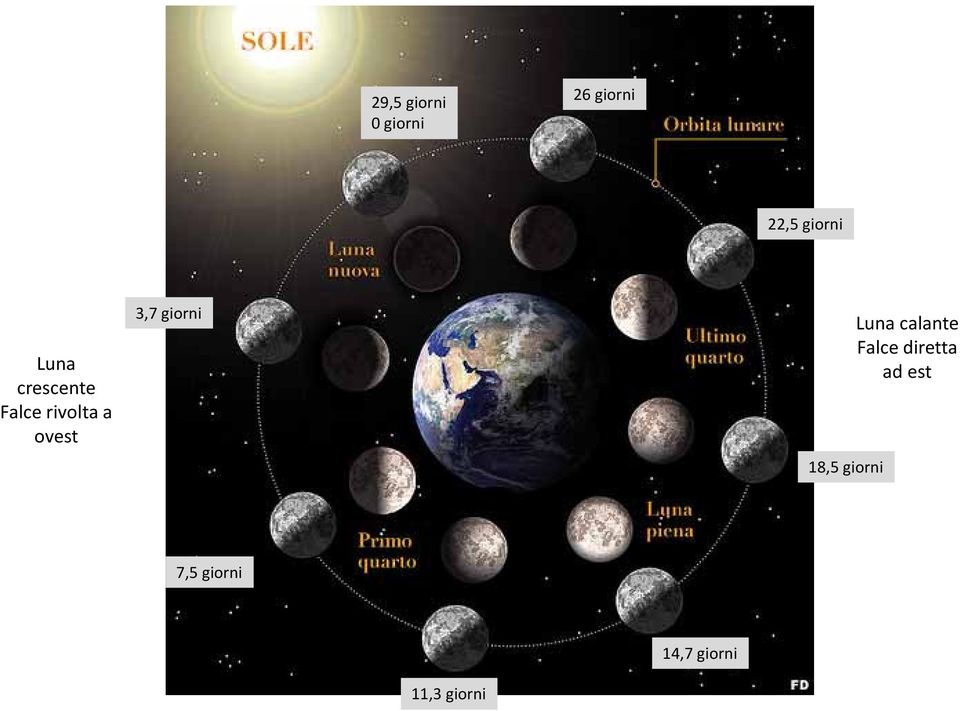 giorni 18,5 giorni Luna calante Falce