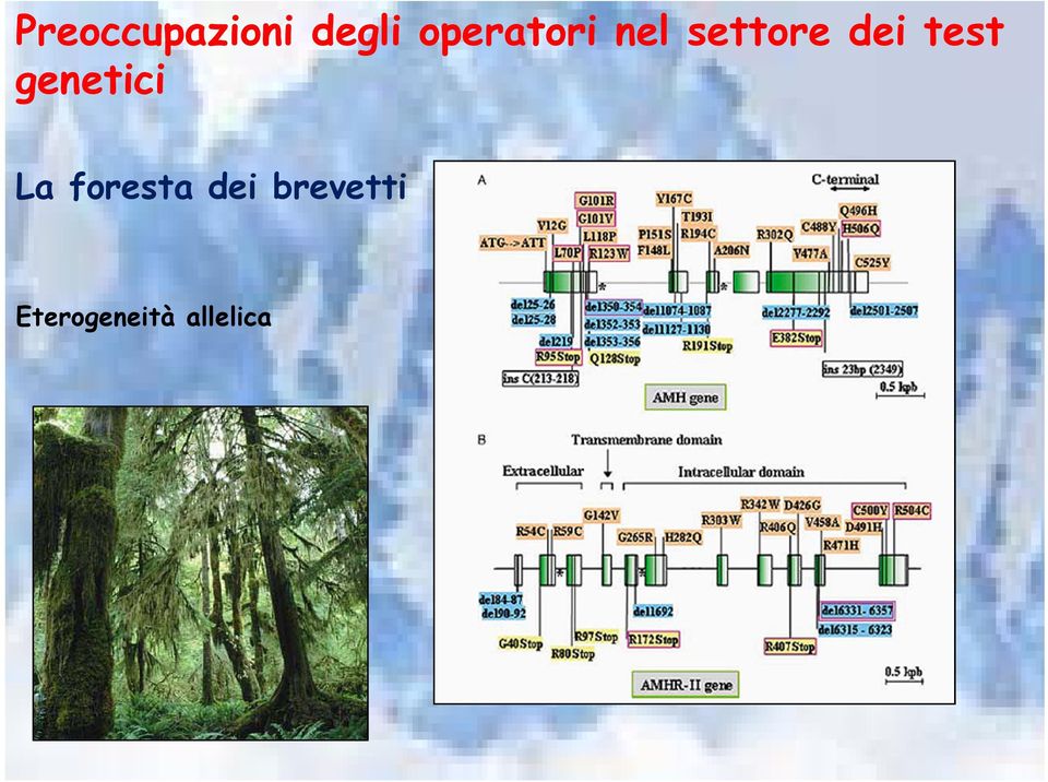 test genetici La foresta