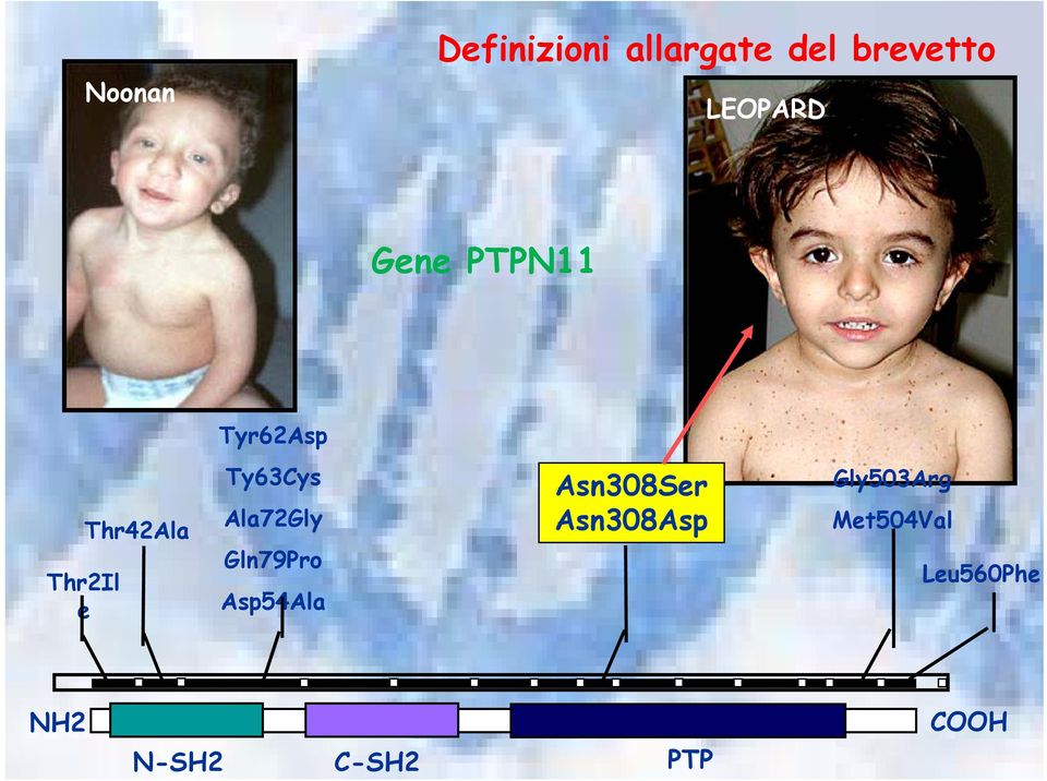 Ala72Gly Gln79Pro Asp54Ala Asn308Ser Asn308Asp