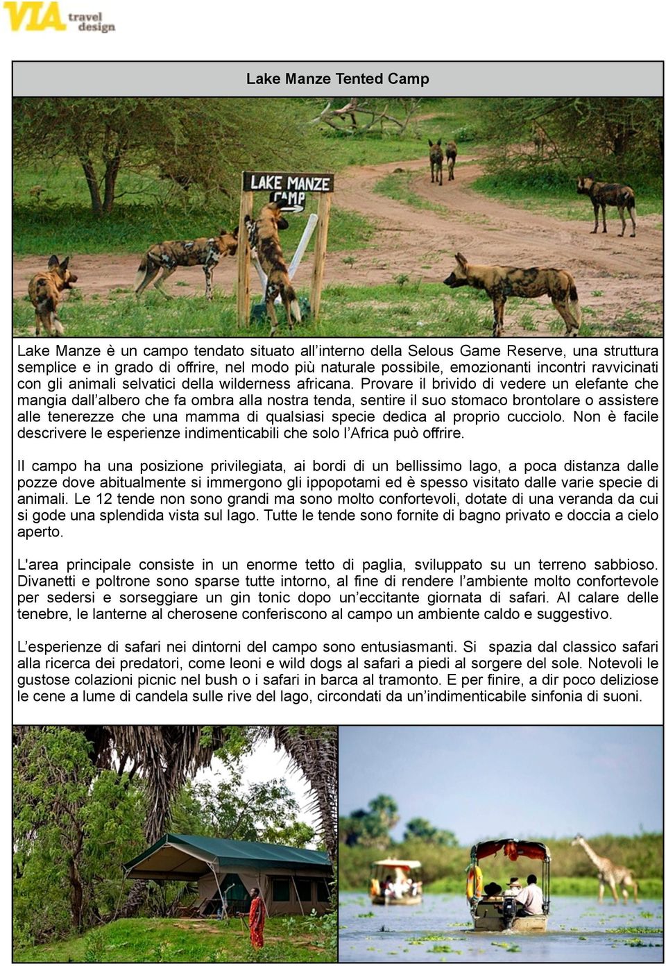 Provare il brivido di vedere un elefante che mangia dall albero che fa ombra alla nostra tenda, sentire il suo stomaco brontolare o assistere alle tenerezze che una mamma di qualsiasi specie dedica