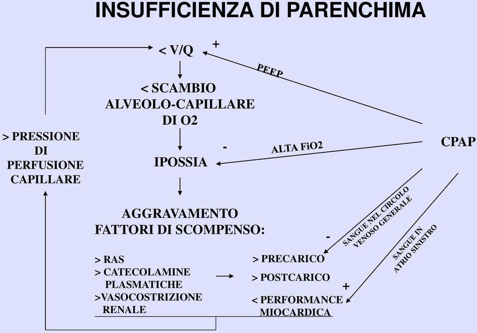 AGGRAVAMENTO FATTORI DI SCOMPENSO: - > RAS > CATECOLAMINE