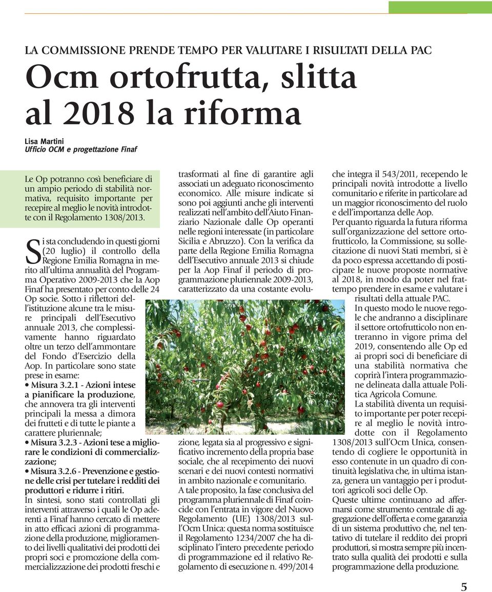 S i sta concludendo in questi giorni (20 luglio) il controllo della Regione Emilia Romagna in me - rito all ultima annualità del Programma Operativo 2009-2013 che la Aop Finaf ha presentato per conto