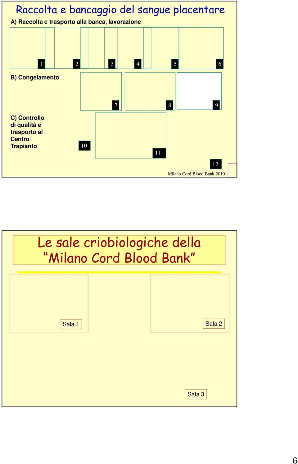 qualità e trasporto al Centro Trapianto 10 11 12 Milano Cord Blood Bank