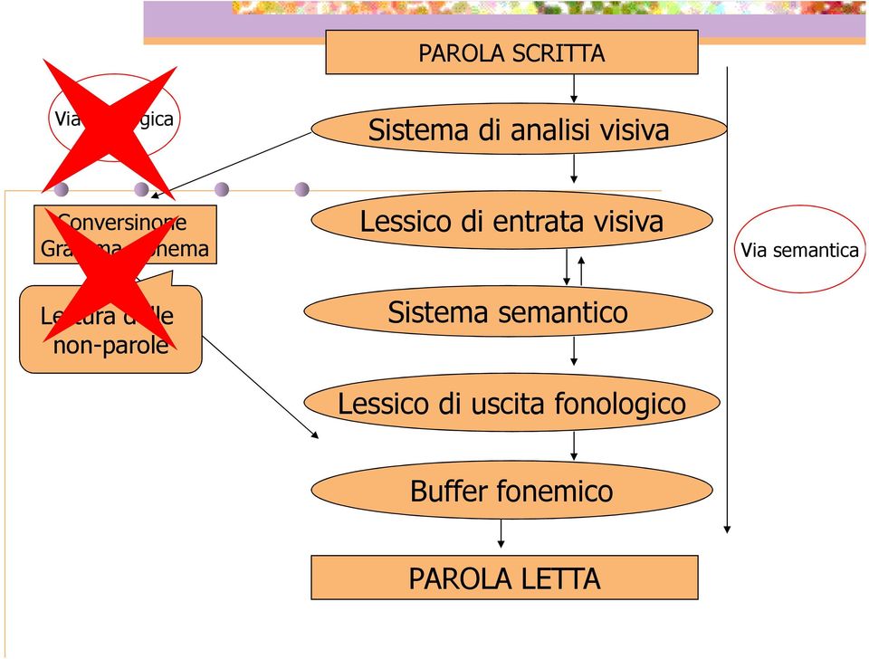 Lessico di entrata visiva Sistema semantico Lessico di