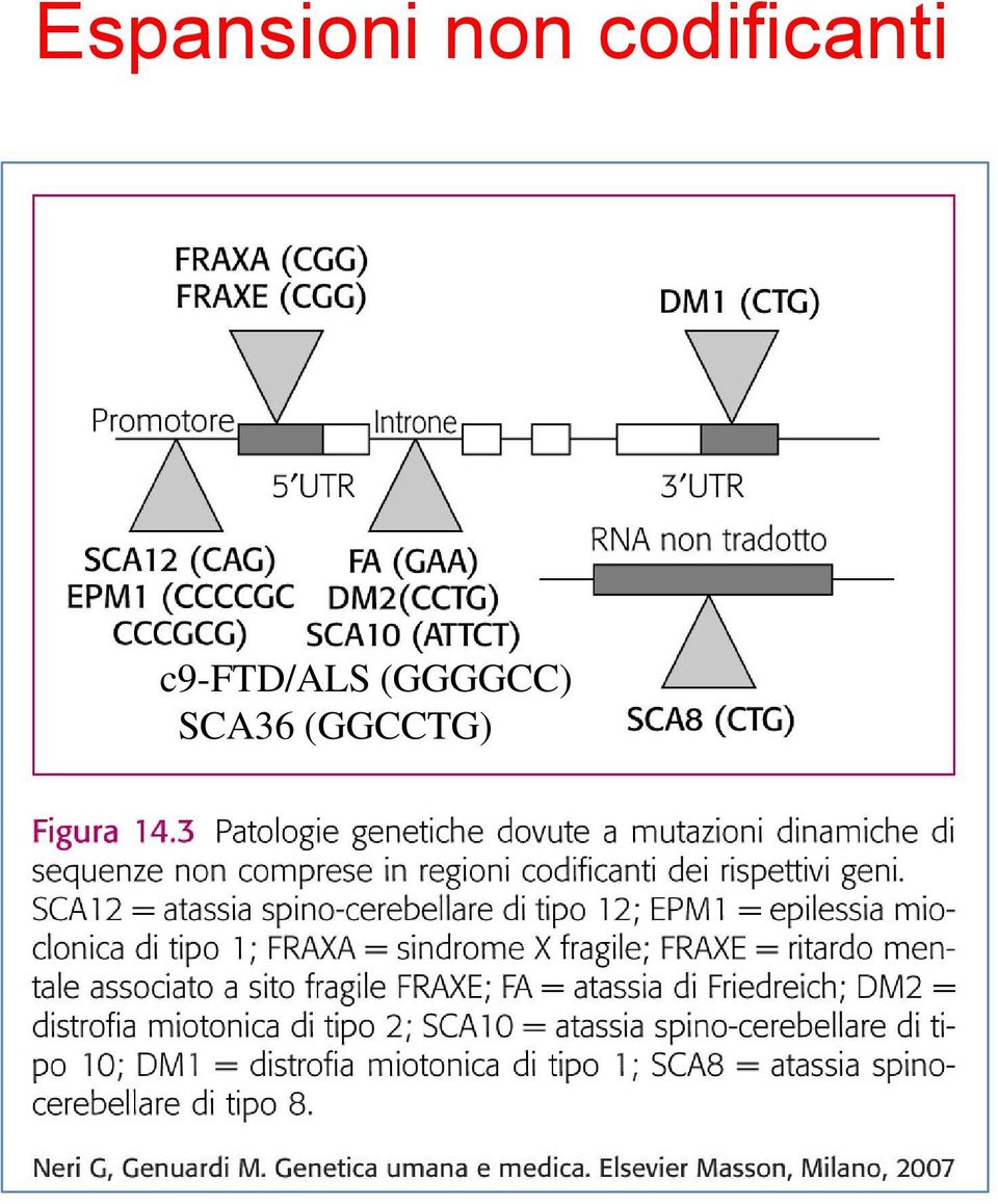 c9-ftd/als