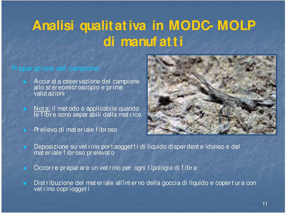 materiale fibroso Deposizione su vetrino portaoggetti di liquido disperdente idoneo e del materiale fibroso prelevato Occorre