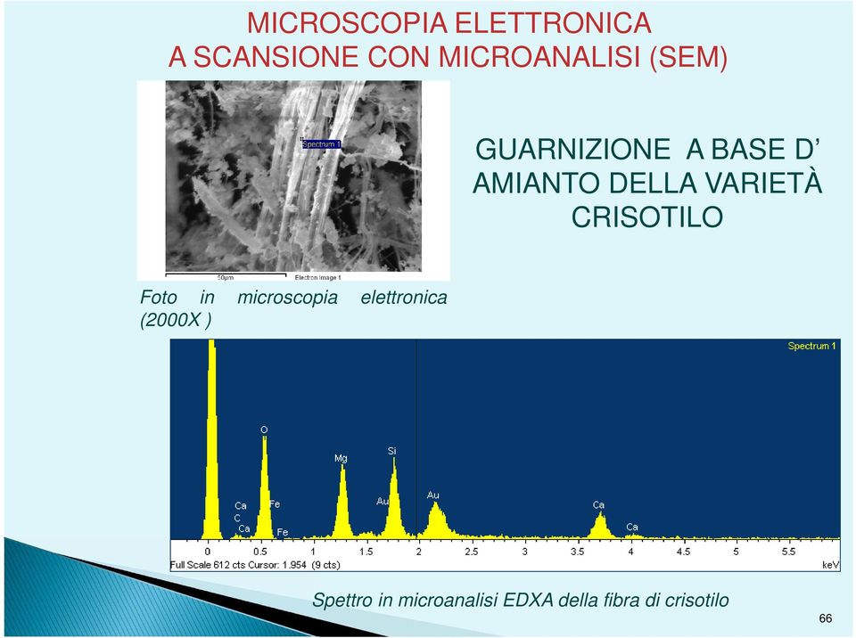 CRISOTILO Foto in microscopia elettronica (2000X )