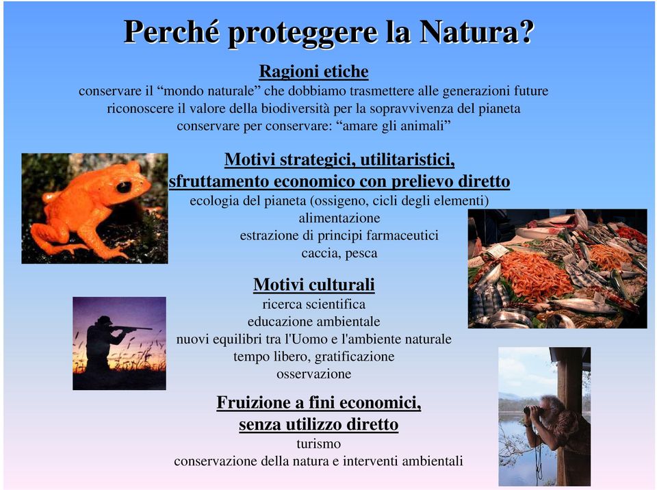 conservare per conservare: amare gli animali Motivi strategici, utilitaristici, sfruttamento economico con prelievo diretto ecologia del pianeta (ossigeno, cicli degli