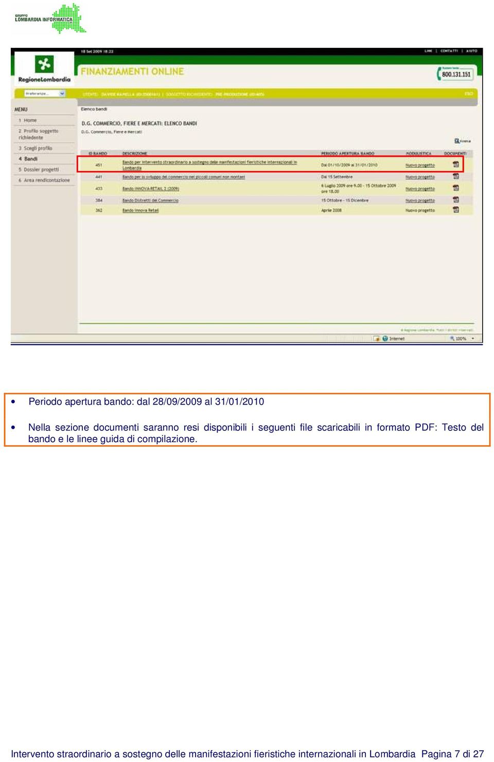 del bando e le linee guida di compilazione.