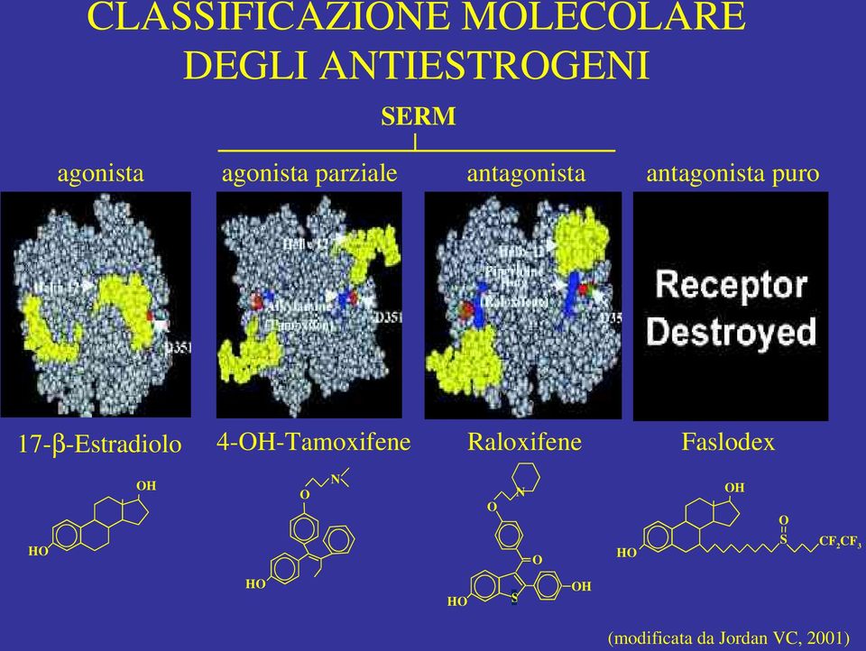 17-β-Estradiolo 4-OH-Tamoxifene Raloxifene Faslodex OH O N