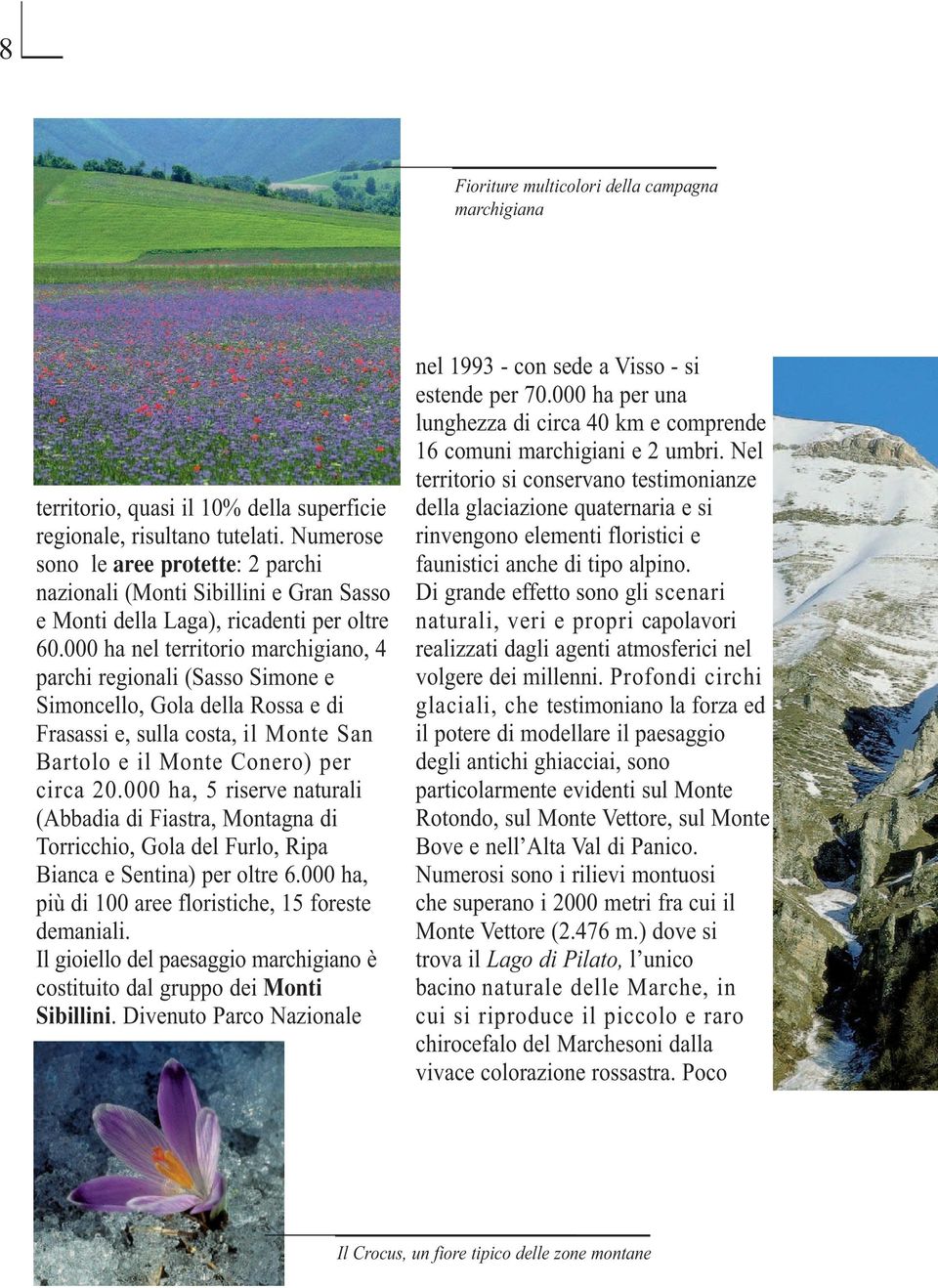 000 ha nel territorio marchigiano, 4 parchi regionali (Sasso Simone e Simoncello, Gola della Rossa e di Frasassi e, sulla costa, il Monte San Bartolo e il Monte Conero) per circa 20.