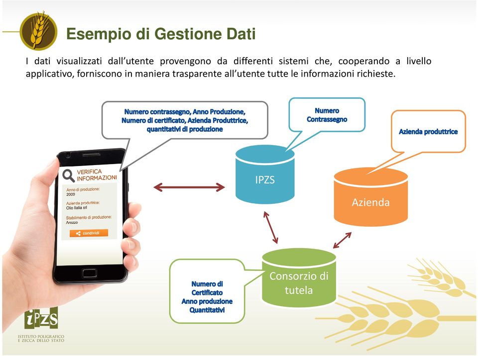 applicativo, forniscono in maniera trasparente all utente