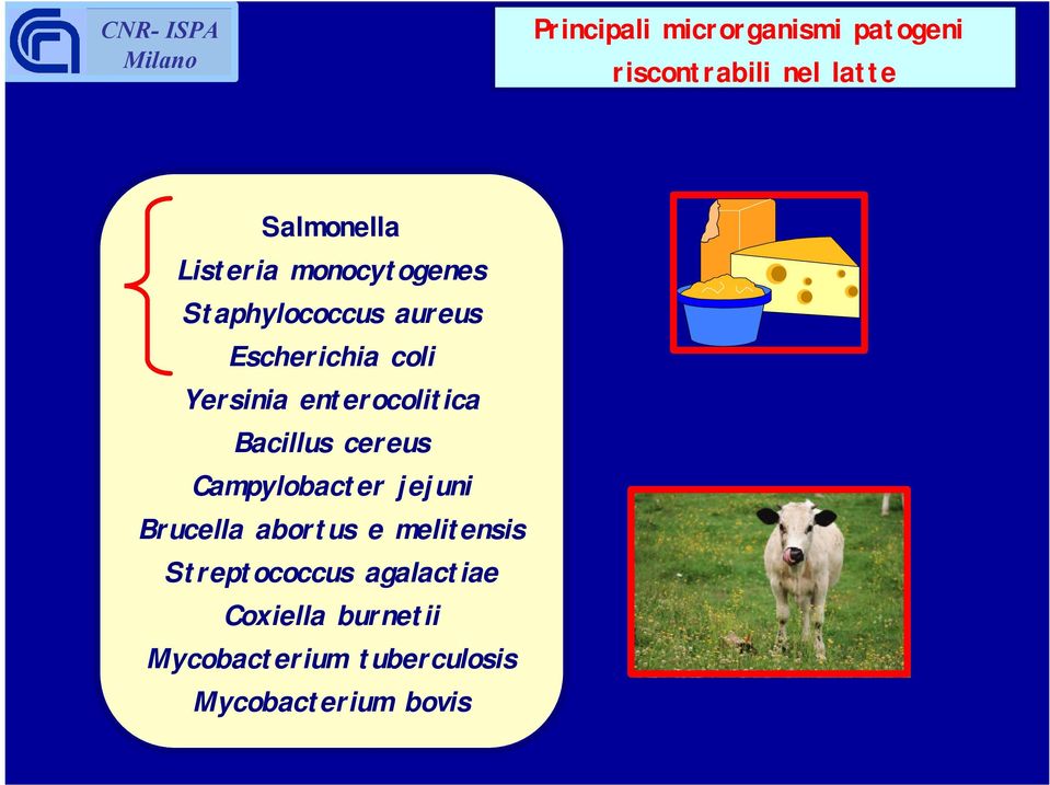 Bacillus cereus Campylobacter jejuni Brucella abortus e melitensis