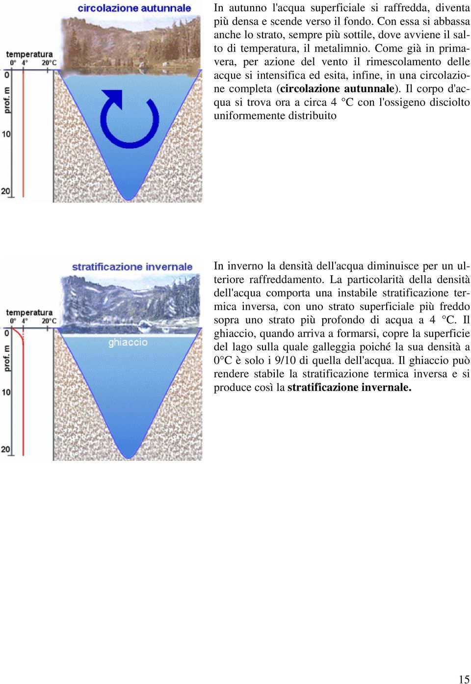 Il corpo d'acqua si trova ora a circa 4 C con l'ossigeno disciolto uniformemente distribuito In inverno la densità dell'acqua diminuisce per un ulteriore raffreddamento.