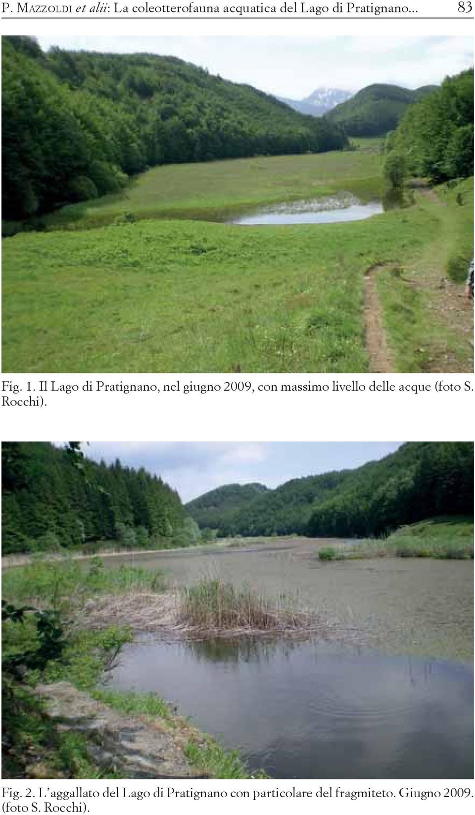 Il Lago di Pratignano, nel giugno 2009, con massimo livello delle