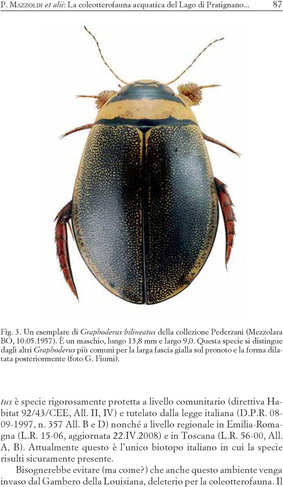 tus è specie rigorosamente protetta a livello comunitario (direttiva Habitat 92/43/CEE, All. II, IV) e tutelato dalla legge italiana (D.P.R. 08-09-1997, n. 357 All.