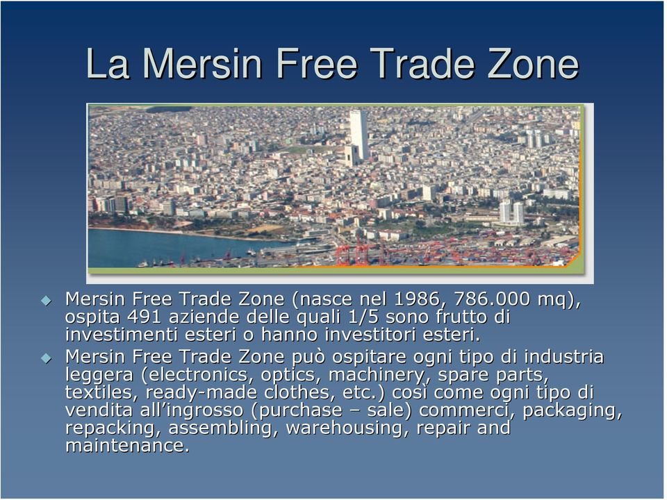 Mersin Free Trade Zone può ospitare ogni tipo di industria leggera (electronics( electronics, optics, machinery, spare