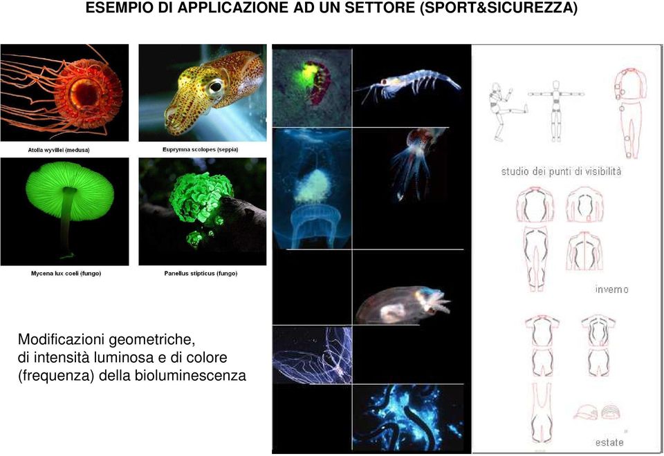 geometriche, di intensità luminosa e