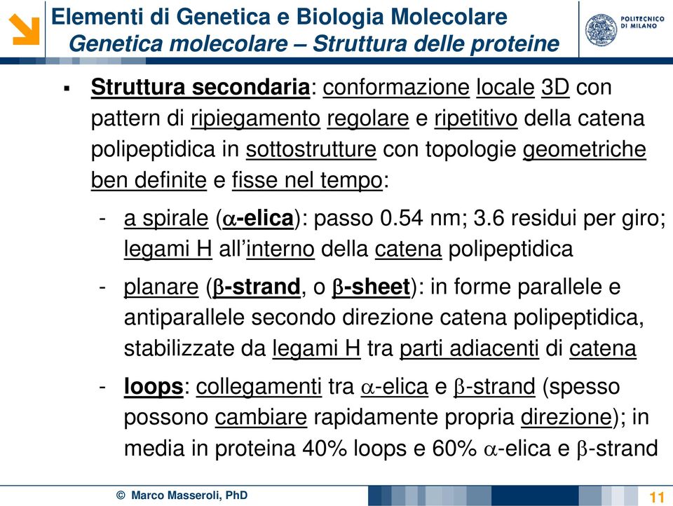 6 residui per giro; legami H all interno della catena polipeptidica - planare (β-strand, o β-sheet): in forme parallele e antiparallele secondo direzione catena