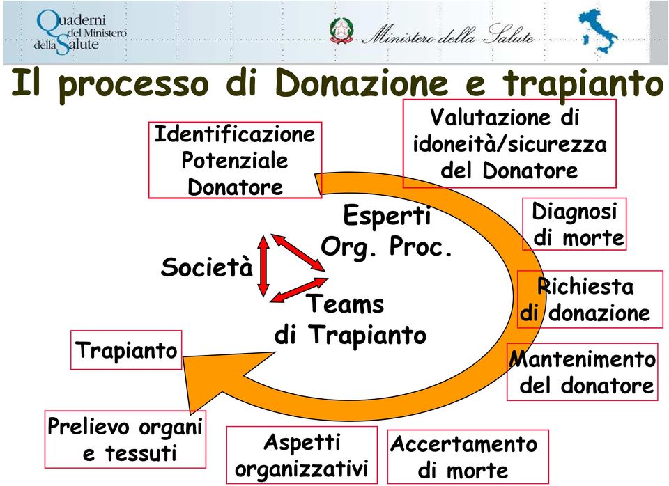 Teams di Trapianto Valutazione di idoneità/sicurezza del Donatore Diagnosi di