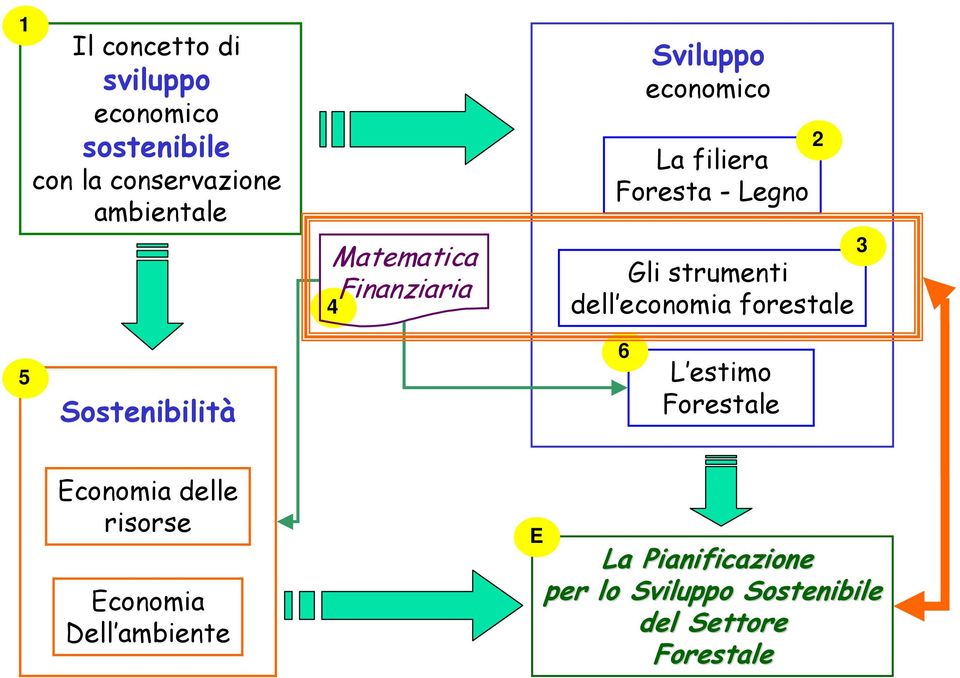 dell economia forestale 2 3 5 Sostenibilità 6 L estimo Forestale Economia delle