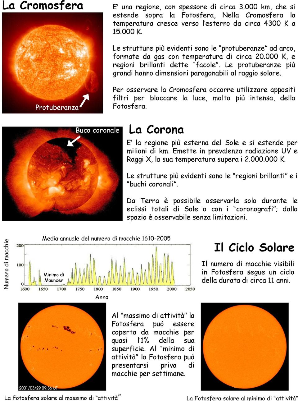 Le protuberanze più grandi hanno dimensioni paragonabili al raggio solare.