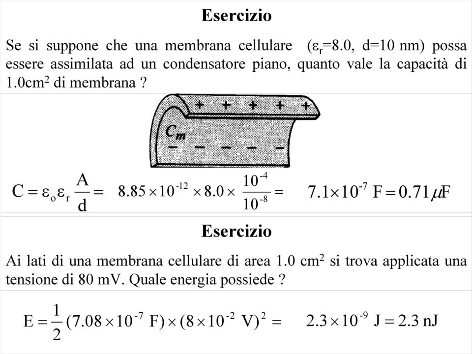 0cm 2 di membrana? A εo ε r d -4-2 0-7 8.85 0 8.0-8 7. 0 F 0.