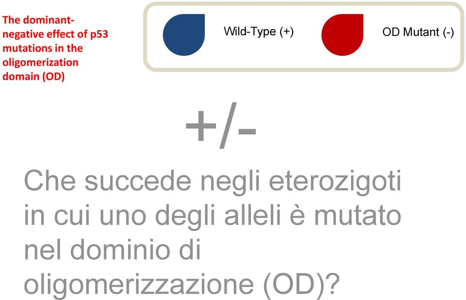 (-) +/- Che succede negli eterozigoti in cui uno