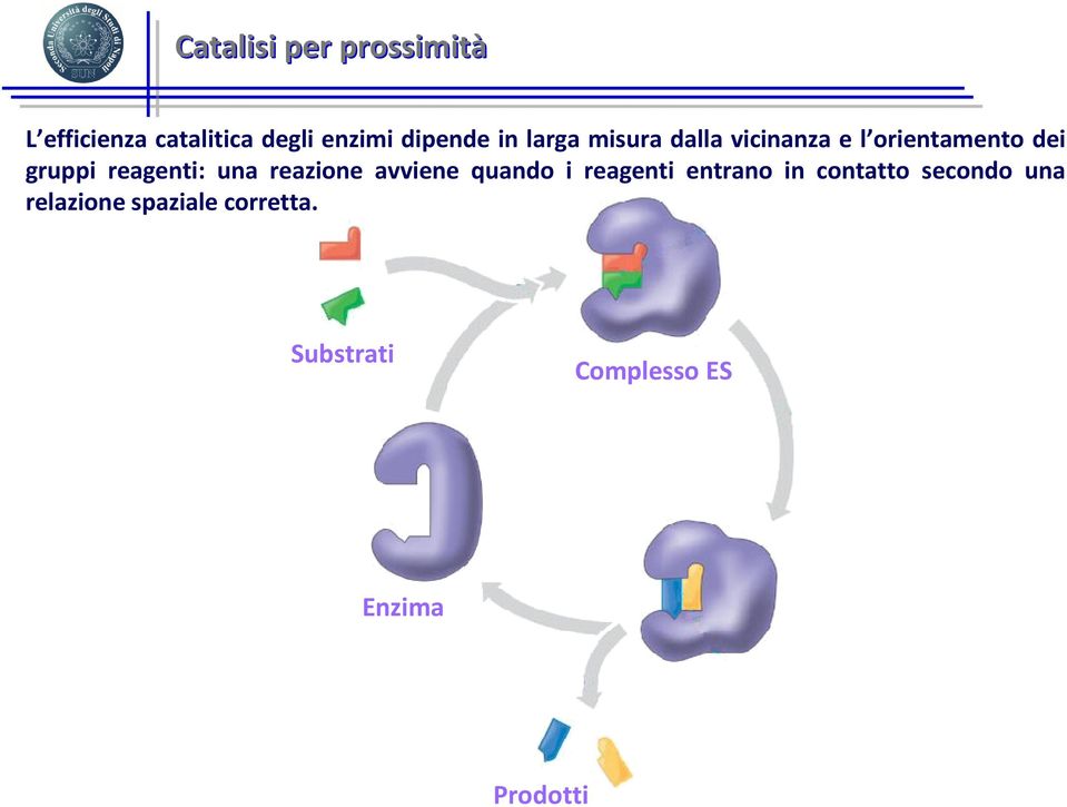 una reazione avviene quando i reagenti entrano in contatto secondo