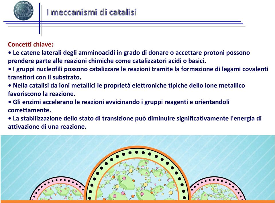 I gruppi nucleofili possono catalizzare le reazioni tramite la formazione di legami covalenti transitori con il substrato.