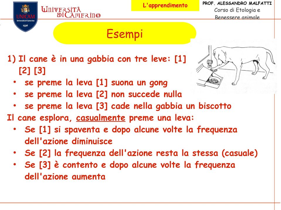 preme una leva: Se [1] si spaventa e dopo alcune volte la frequenza dell'azione diminuisce Se [2] la