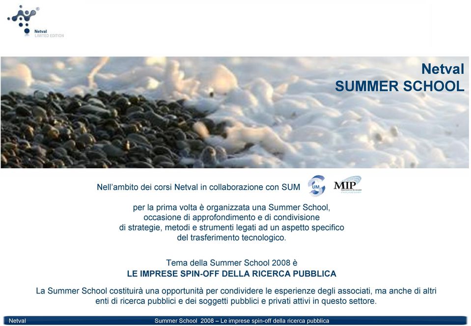 Tema della Summer School 2008 è LE IMPRESE SPIN-OFF DELLA RICERCA PUBBLICA La Summer School costituirà una opportunità per