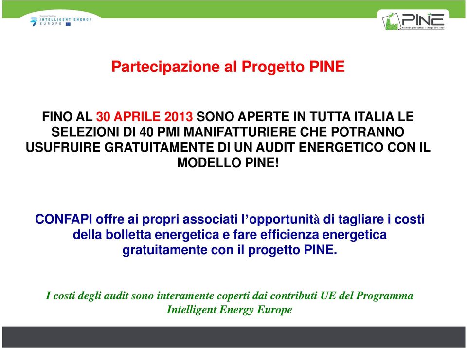 CONFAPI offre ai propri associati l opportunità di tagliare i costi della bolletta energetica e fare efficienza