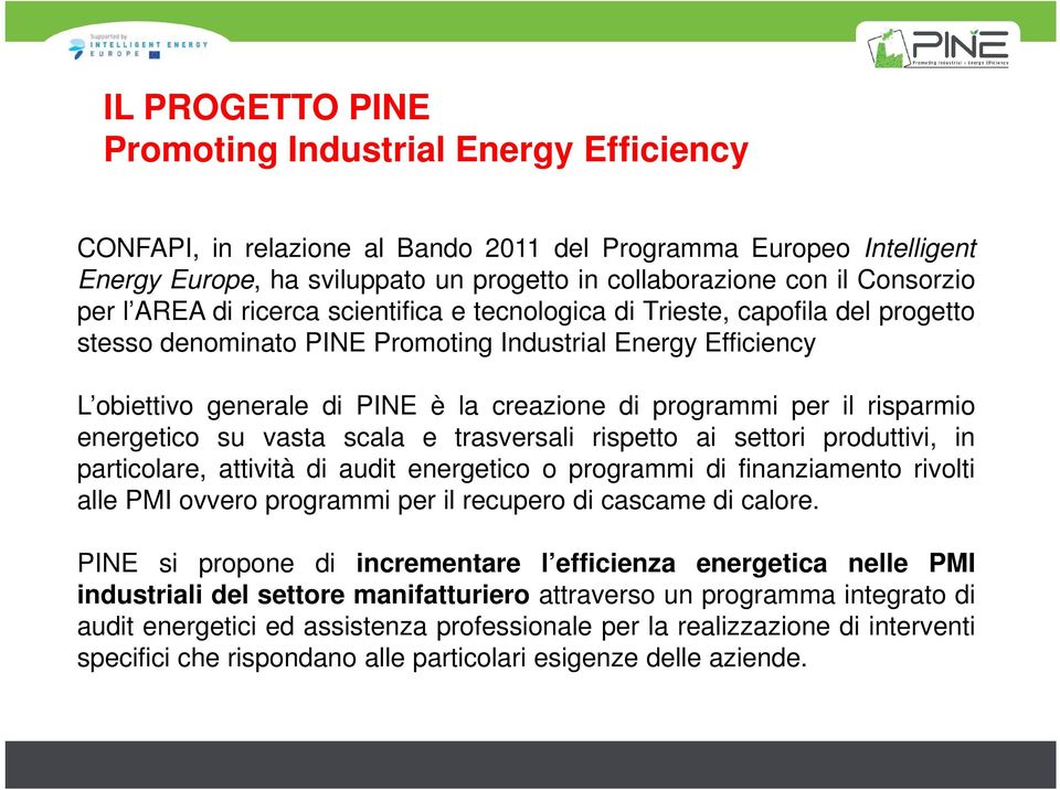 di programmi per il risparmio energetico su vasta scala e trasversali rispetto ai settori produttivi, in particolare, attività di audit energetico o programmi di finanziamento rivolti alle PMI ovvero