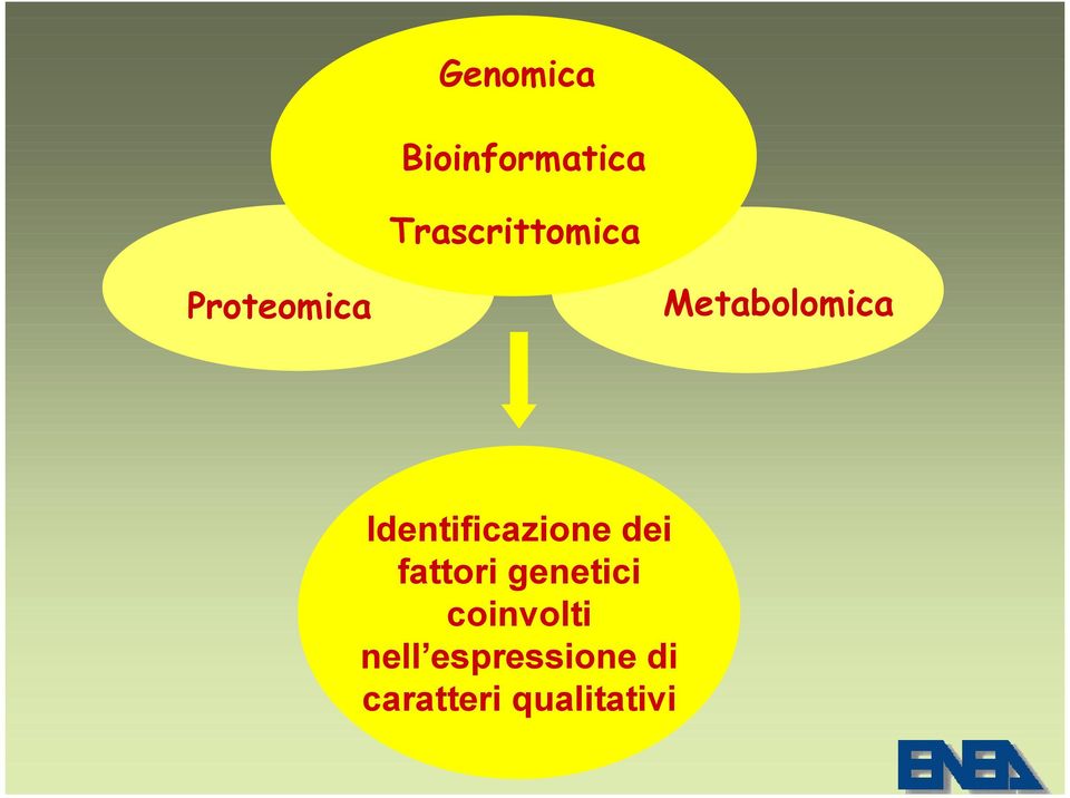 Metabolomica Identificazione dei