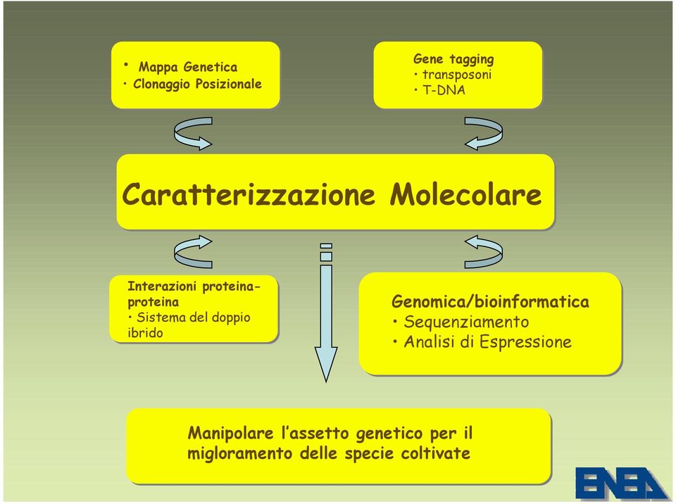 doppio ibrido Genomica/bioinformatica Sequenziamento Analisi di