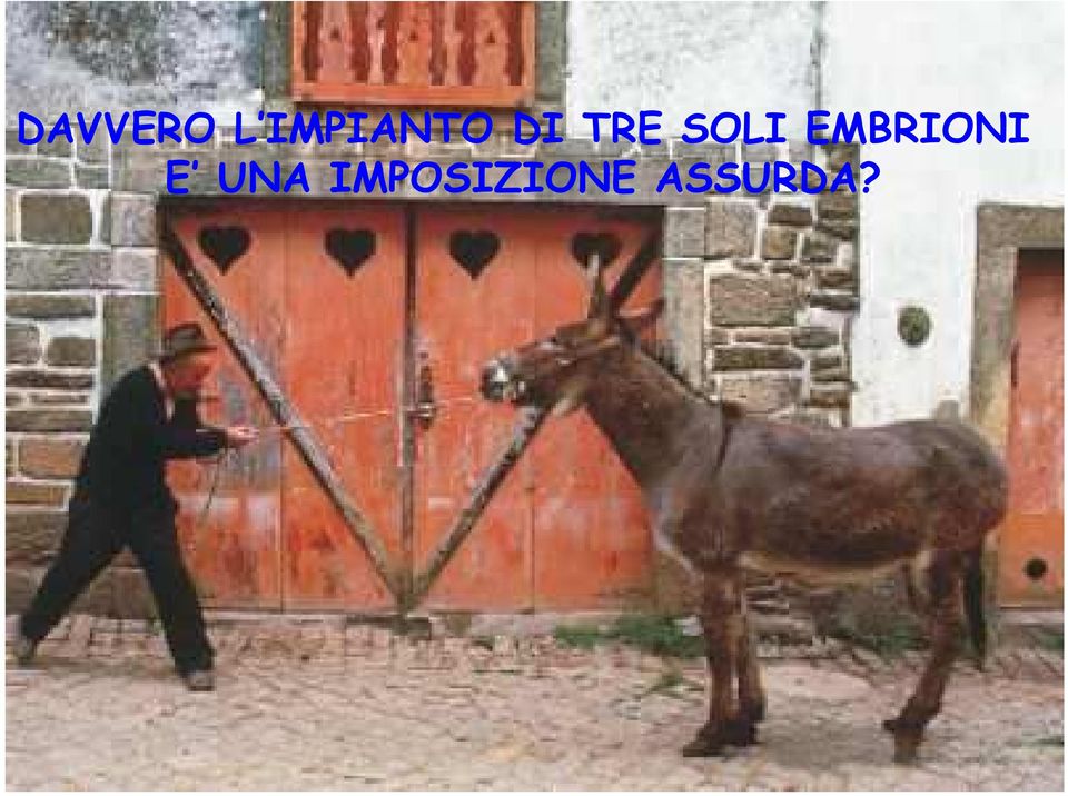 SOLI EMBRIONI E