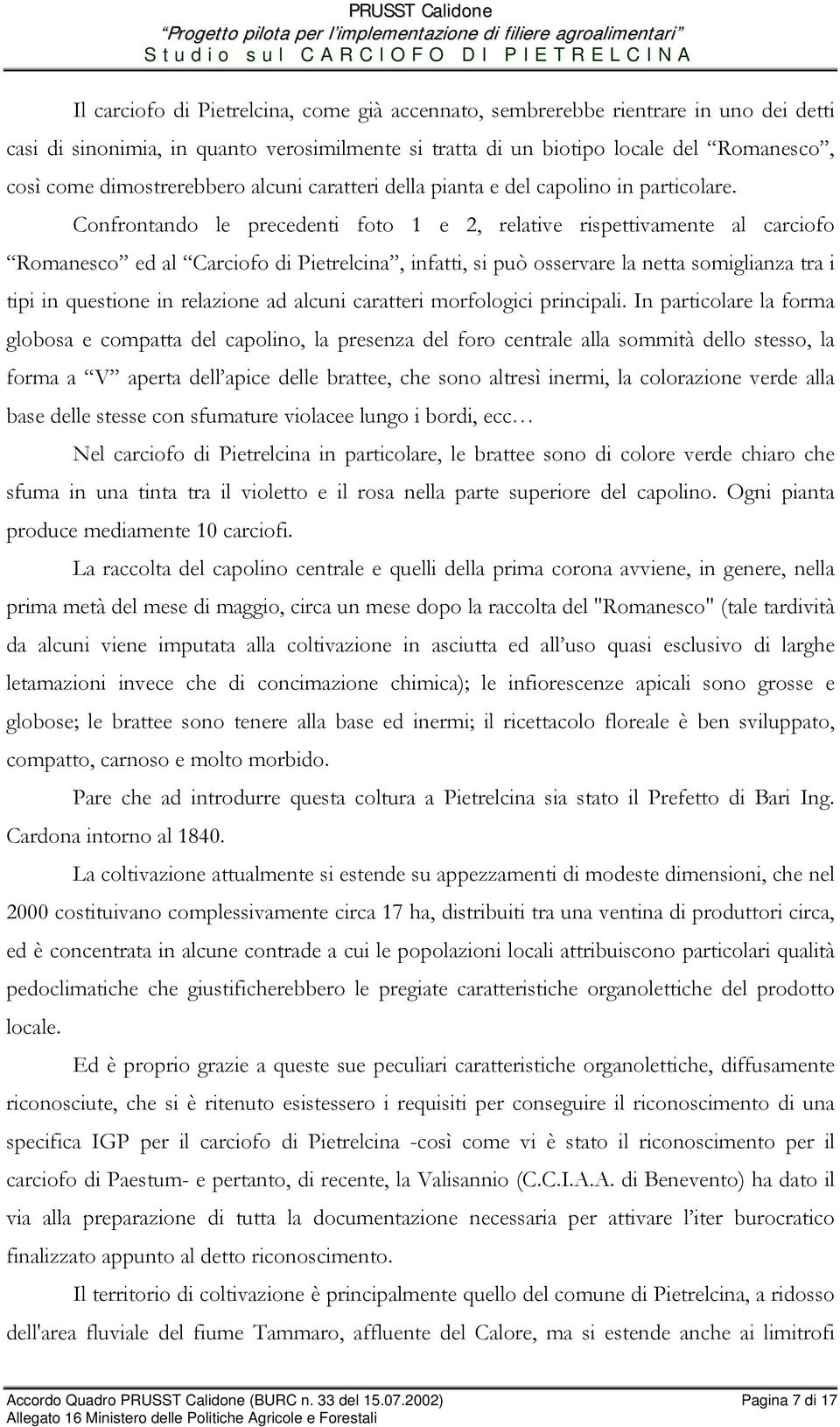 Confrontando le precedenti foto 1 e 2, relative rispettivamente al carciofo Romanesco ed al Carciofo di Pietrelcina, infatti, si può osservare la netta somiglianza tra i tipi in questione in