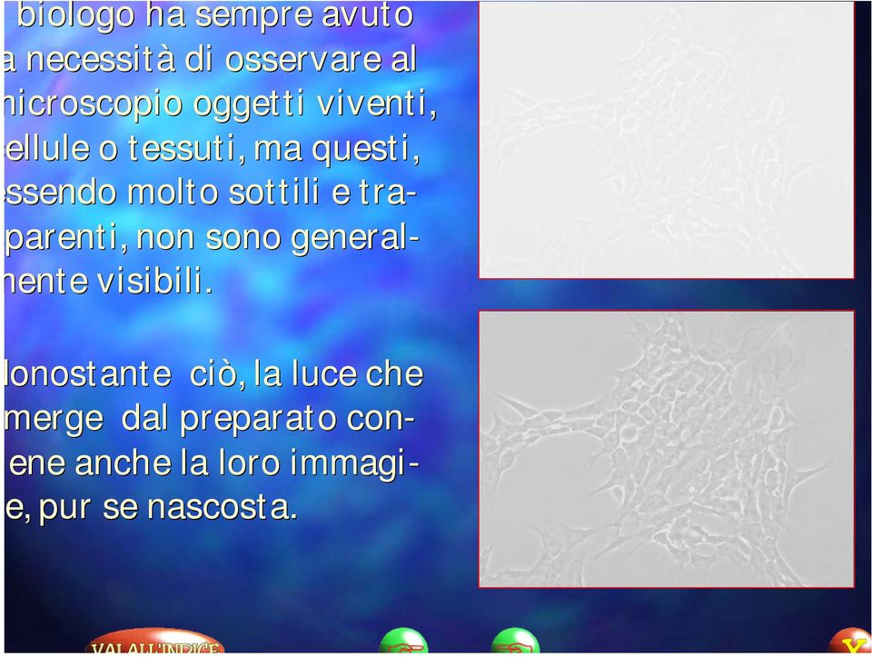 e traparenti, non sono general- ente visibili.